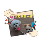 LUNA＆SEAでーす！！毎日会話だワン！！（個別スタンプ：5）