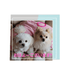 LUNA＆SEAでーす！！毎日会話だワン！！（個別スタンプ：7）