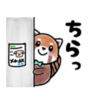 毎日使える♡かわいい レッサーパンダ（個別スタンプ：13）