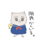 毎日楽しいねこと会話（個別スタンプ：19）