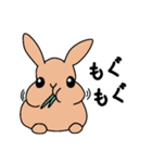 うさぎのつむぎすたんぷ（個別スタンプ：1）