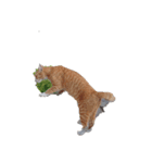 【バンコク動物編】ミーシュカひとり旅（個別スタンプ：3）