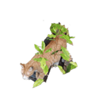 【バンコク動物編】ミーシュカひとり旅（個別スタンプ：4）