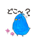 毎日つかえる 使いやすい色とり鳥インコ（個別スタンプ：30）
