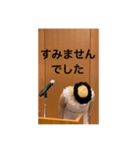 本心がわかってもらいづらい敬語（個別スタンプ：1）