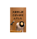 本心がわかってもらいづらい敬語（個別スタンプ：6）