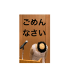 本心がわかってもらいづらい敬語（個別スタンプ：8）