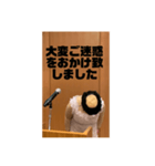 本心がわかってもらいづらい敬語（個別スタンプ：11）