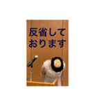 本心がわかってもらいづらい敬語（個別スタンプ：13）