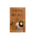 本心がわかってもらいづらい敬語（個別スタンプ：17）