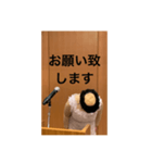 本心がわかってもらいづらい敬語（個別スタンプ：28）