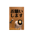 本心がわかってもらいづらい敬語（個別スタンプ：29）