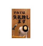 本心がわかってもらいづらい敬語（個別スタンプ：37）