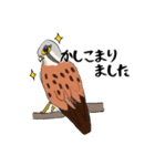 チョウゲンボウが主役！（個別スタンプ：3）