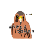 チョウゲンボウが主役！（個別スタンプ：7）