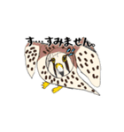 チョウゲンボウが主役！（個別スタンプ：11）