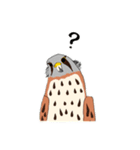 チョウゲンボウが主役！（個別スタンプ：16）