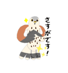 チョウゲンボウが主役！（個別スタンプ：21）