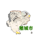 チョウゲンボウが主役！（個別スタンプ：23）