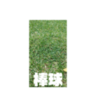 野球試合観戦台湾語ホームランヒット（個別スタンプ：2）