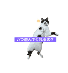 ごま太郎の日常スタンプ（個別スタンプ：4）
