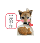 柴犬スタンプver.ヒナ（個別スタンプ：18）