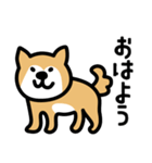 柴犬の気持ちになったスタンプ（個別スタンプ：1）