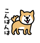 柴犬の気持ちになったスタンプ（個別スタンプ：3）