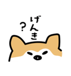 柴犬の気持ちになったスタンプ（個別スタンプ：4）