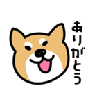 柴犬の気持ちになったスタンプ（個別スタンプ：5）