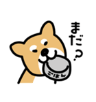 柴犬の気持ちになったスタンプ（個別スタンプ：9）