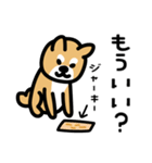 柴犬の気持ちになったスタンプ（個別スタンプ：11）