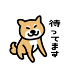 柴犬の気持ちになったスタンプ（個別スタンプ：37）