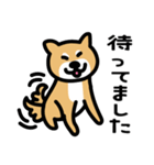 柴犬の気持ちになったスタンプ（個別スタンプ：39）