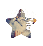 保護ネコのあっちゃん様（個別スタンプ：24）