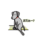 黒ラブ life  ー真っ黒犬の休日 ー（個別スタンプ：2）