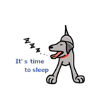 黒ラブ life  ー真っ黒犬の休日 ー（個別スタンプ：3）