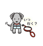 黒ラブ life  ー真っ黒犬の休日 ー（個別スタンプ：9）
