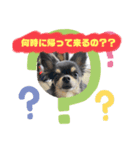 こよみ？？スタンプ（個別スタンプ：1）