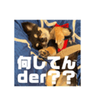 こよみ？？スタンプ（個別スタンプ：8）