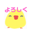 定番ひよこ(B＆Y)（個別スタンプ：1）