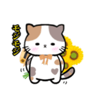 三毛猫のまいちゃん 夏（個別スタンプ：13）