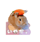 ネザーのみみちゃん3（個別スタンプ：12）