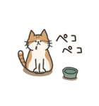 ねこスタンプ【いとしのふとし】（個別スタンプ：13）