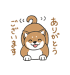 柴犬のもなか（個別スタンプ：2）