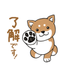 柴犬のもなか（個別スタンプ：3）