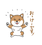 柴犬のもなか（個別スタンプ：4）