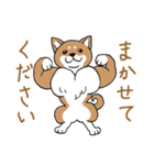 柴犬のもなか（個別スタンプ：5）