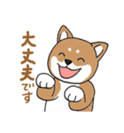 柴犬のもなか（個別スタンプ：8）