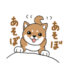 柴犬のもなか（個別スタンプ：13）